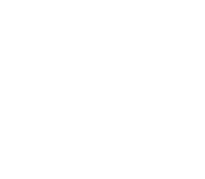 anymane logo