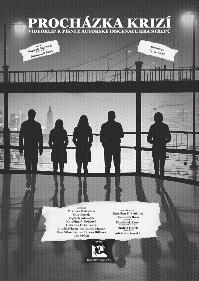 PROCHÁZKA KRIZÍ — poster