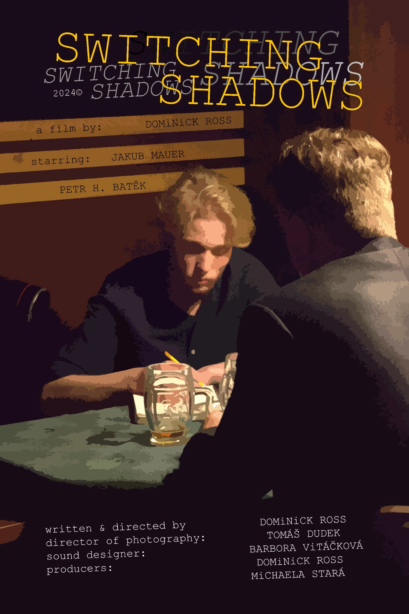 SWITCHING SHADOWS — poster
