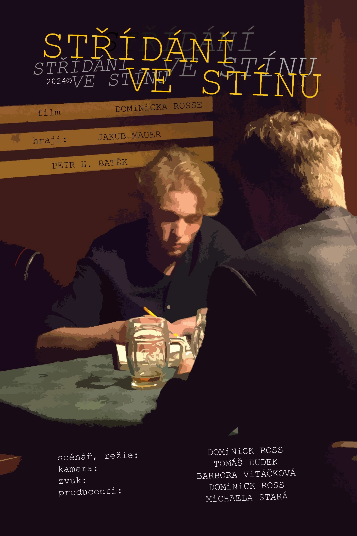 STŘÍDÁNÍ VE STÍNU — poster