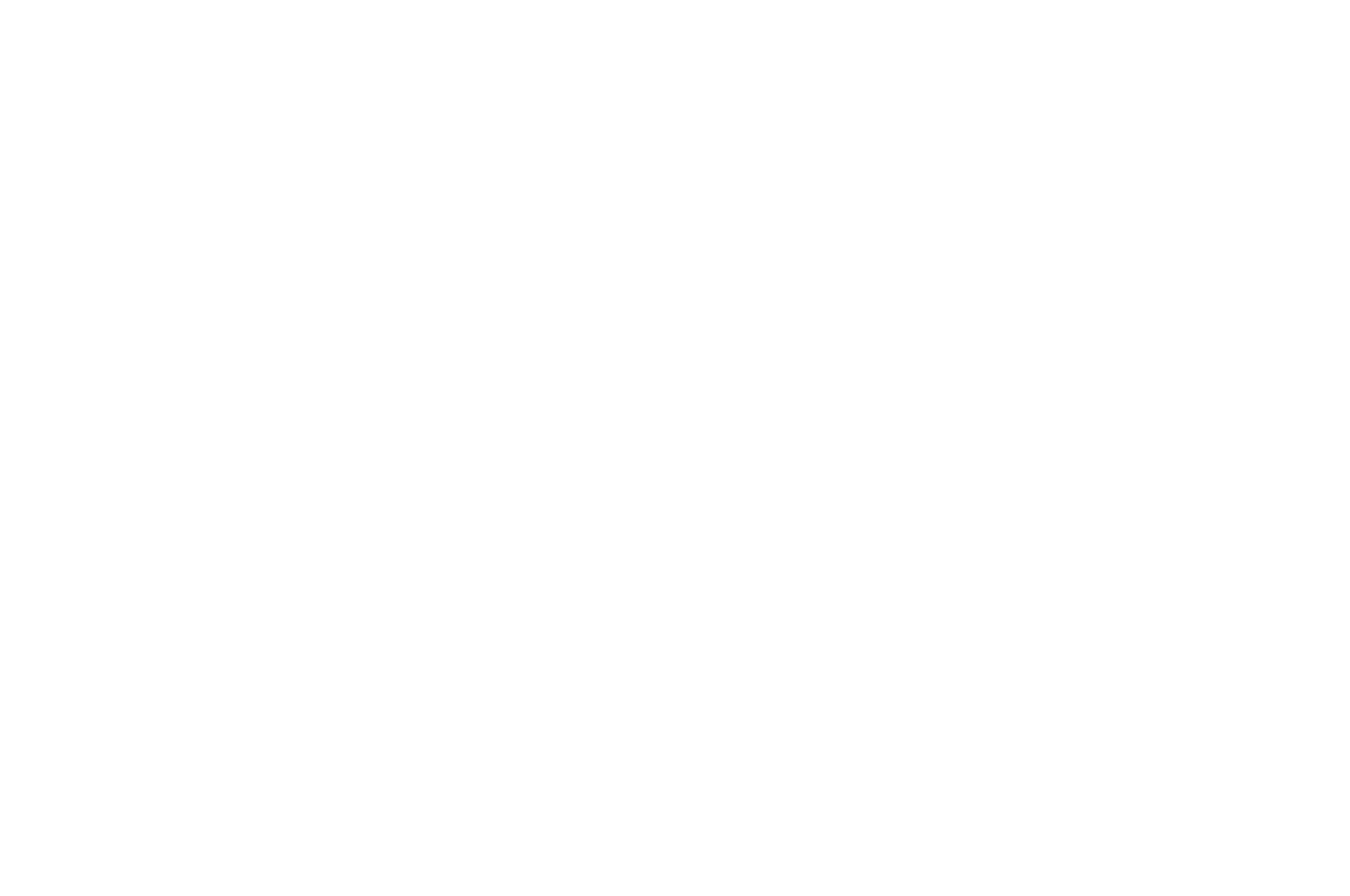 FIRST-TIME FILMMAKER SESSIONS, VOLUME 3 — OFFICIAL SELECTION