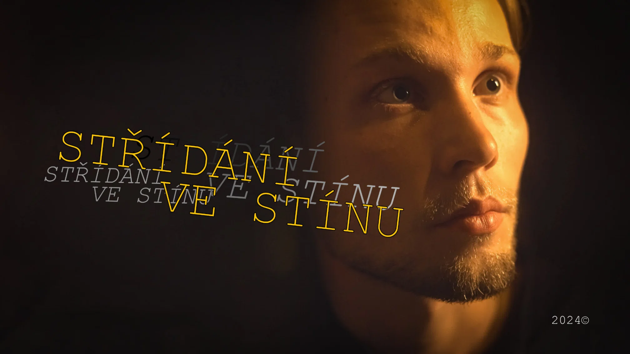 STŘÍDÁNÍ VE STÍNU